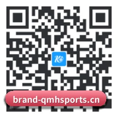 Apple 移动终端版 二维码